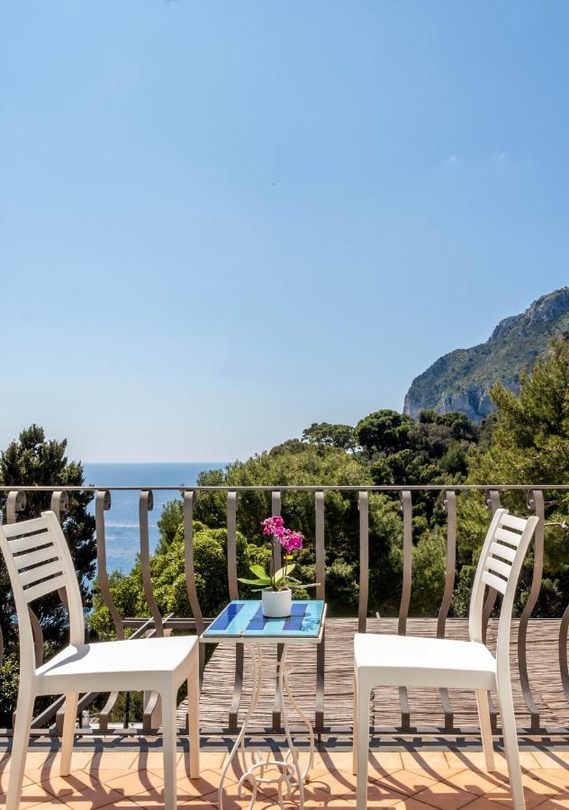 Oliveto Capri Apartments Dış mekan fotoğraf